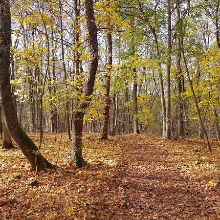 Gemuetliche Ferienwohnung Am Ortsrand Kreuzwertheim エクステリア 写真
