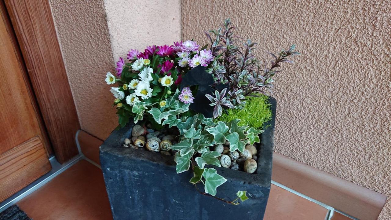 Gemuetliche Ferienwohnung Am Ortsrand Kreuzwertheim エクステリア 写真