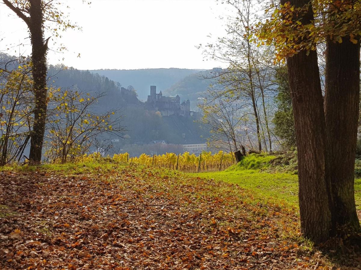 Gemuetliche Ferienwohnung Am Ortsrand Kreuzwertheim エクステリア 写真