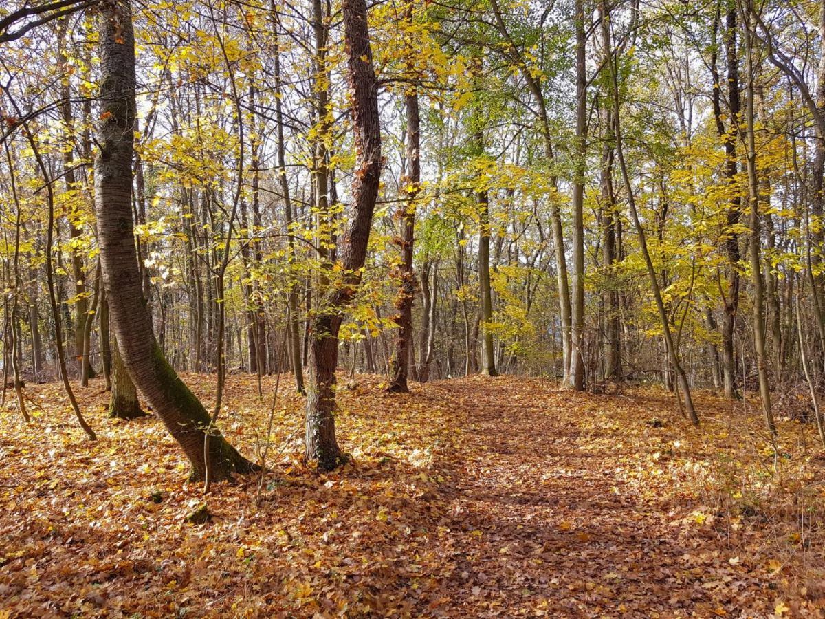 Gemuetliche Ferienwohnung Am Ortsrand Kreuzwertheim エクステリア 写真