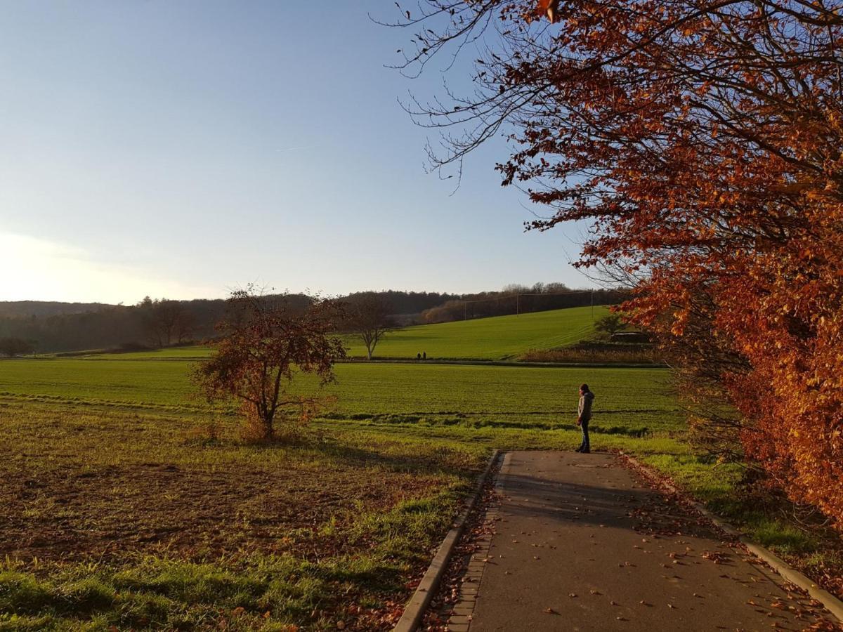Gemuetliche Ferienwohnung Am Ortsrand Kreuzwertheim エクステリア 写真
